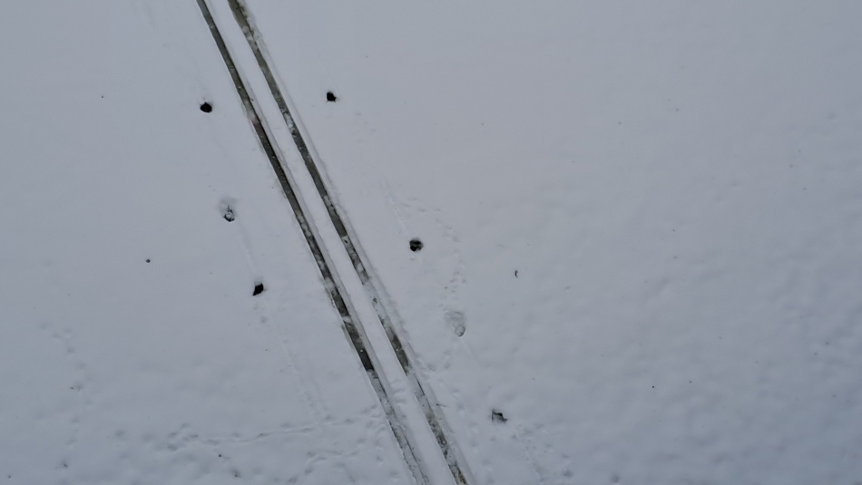 На Крестовском острове появилась лыжная трасса для всех желающих